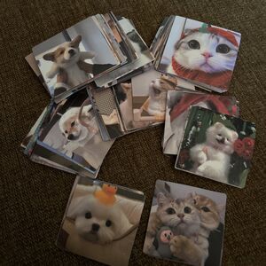 100 PCS Water Bottle Stickers for Kids, Cute Dig And Cat ,Waterproof Vinyl